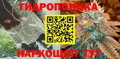 соль ск Заволжье
