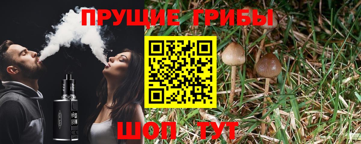 Кунгур  Галлюциногенные грибы Psilocybine cubensis  Вход с VPN  Галлюциногенные грибы мицелий 